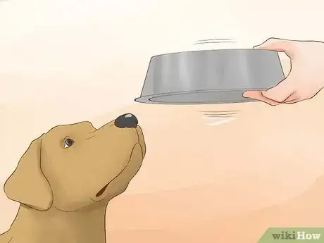 Image intitulée Make Your Dog Drink Water Step 15