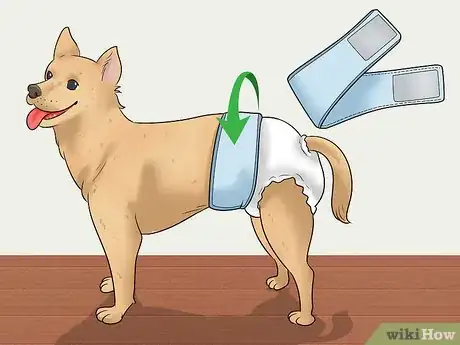 Image intitulée Keep Diapers on a Dog Step 1