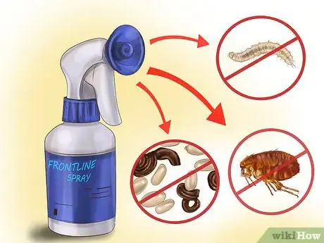 Image intitulée Kill Fleas and Ticks on Cats Step 11