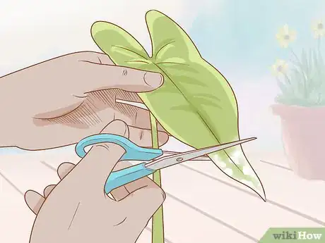 Image intitulée Get Rid of Powdery Mildew on Plants Step 12