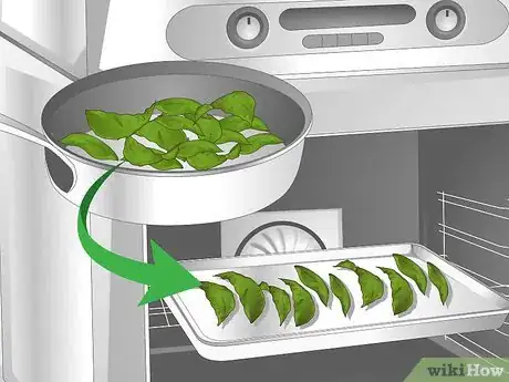 Image intitulée Grow a Tea Plant Step 15