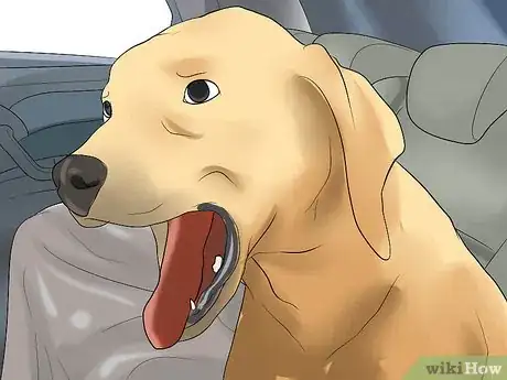 Image intitulée Calm a Nervous Dog in the Car Step 7