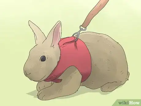 Image intitulée Care for Mini Lop Rabbits Step 11