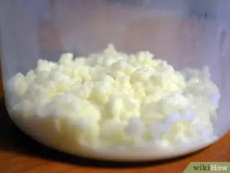 Image intitulée Maintain Kefir Grains Step 5Bullet2