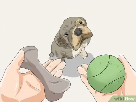 Image intitulée Care for a Puppy when You Work Full Time Step 11