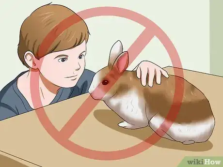 Image intitulée Make Sure Your Rabbit Has the Best Life You Can Give It Step 1