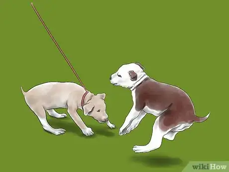 Image intitulée Train a Pit Bull Step 13