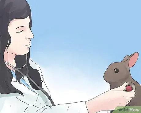 Image intitulée Care for Mini Lop Rabbits Step 16