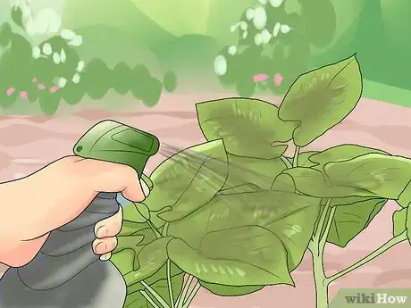 Image intitulée Make a Compost Tea Step 14