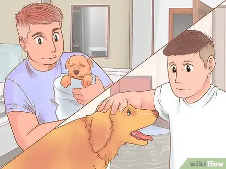 Image intitulée Know if Your Dog Likes You the Best Step 8