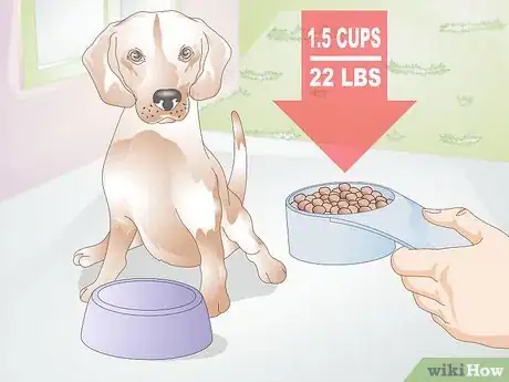 Image intitulée Feed a Dog Step 7