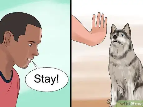 Image intitulée Teach Your Dog to Play Dead on Command Step 12
