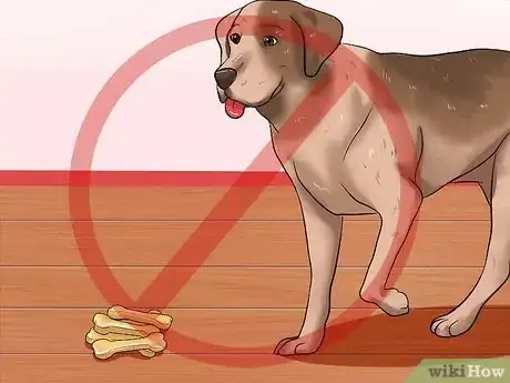 Image intitulée Help Your Dog Lose Weight Step 10