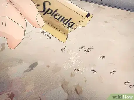 Image intitulée Get Rid of Ants Naturally Step 12