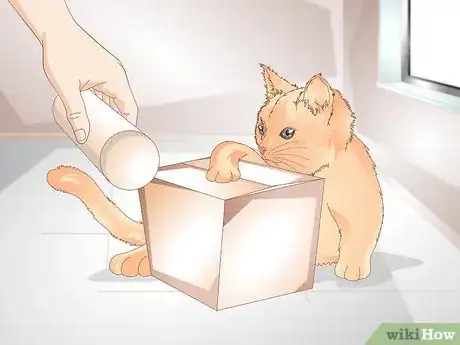 Image intitulée Help Your Cat Lose Weight Step 11