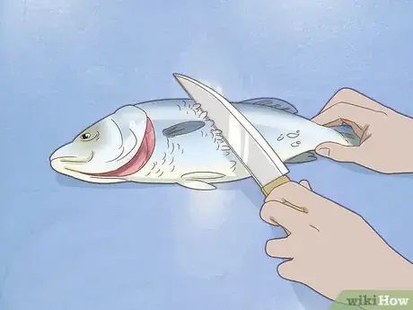 Image intitulée Fillet a Fish Step 2