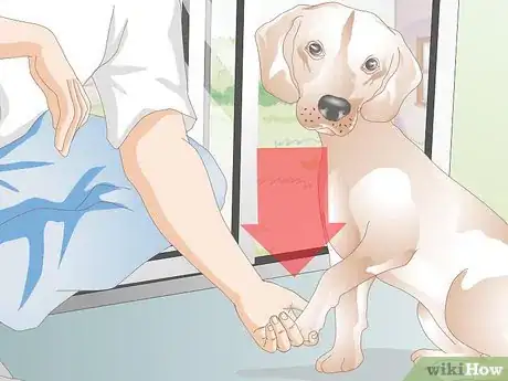 Image intitulée Care for a Dog's Torn Paw Pad Step 17