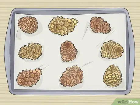 Image intitulée Preserve Pinecones Step 7