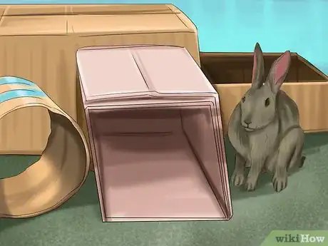 Image intitulée Raise a Lop Eared Rabbit As a Pet Step 15