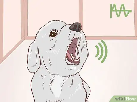 Image intitulée Communicate With Your Dog Step 11