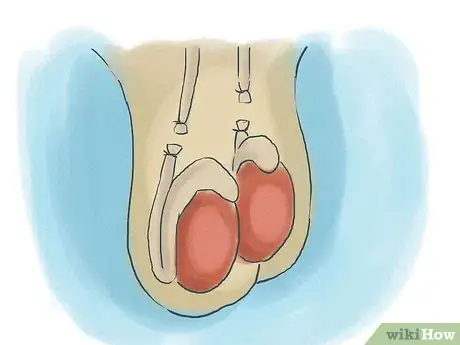 Image intitulée Prevent Pregnancy Step 10