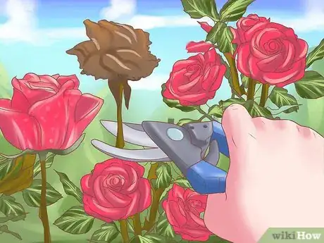 Image intitulée Make Roses Last Longer Step 13