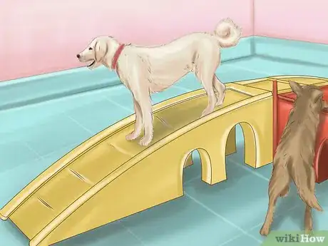 Image intitulée Calm Down a Playful Large Dog Step 4