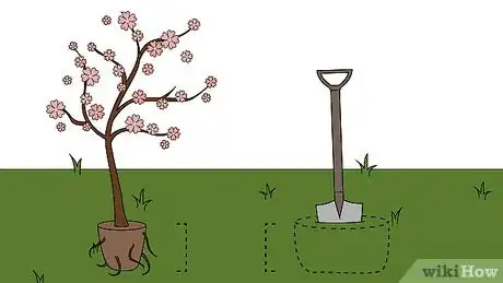 Image intitulée Grow Crabapple Trees Step 12