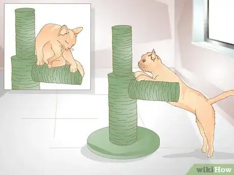 Image intitulée Help Your Cat Lose Weight Step 10