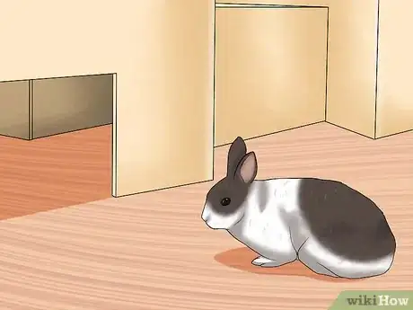 Image intitulée Care for a House Rabbit Step 16