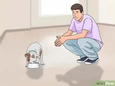 Image intitulée Take Care of Puppies Step 21