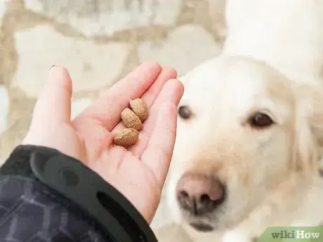 Image intitulée Teach Your Dog Tricks Step 2