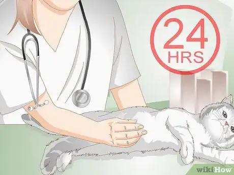 Image intitulée Tell if Your Cat Is Constipated Step 5