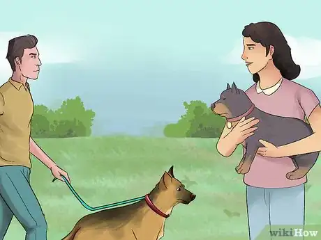 Image intitulée Make a Dog Love You Step 5