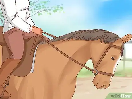 Image intitulée Take Care of Your Horse Step 19