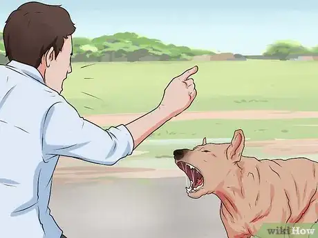 Image intitulée Handle a Dog Attack Step 5