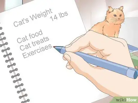 Image intitulée Help Your Cat Lose Weight Step 13