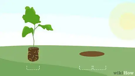 Image intitulée Plant Mums Step 6