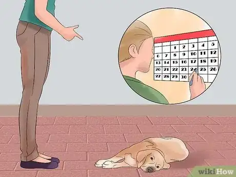 Image intitulée Teach Your Dog to Play Dead on Command Step 22