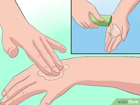 Image intitulée Care for Your Aloe Vera Plant Step 10