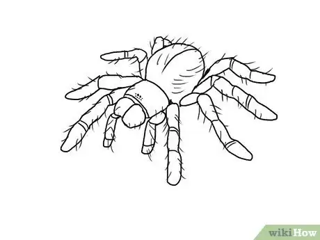 Image intitulée Draw a Spider Step 9