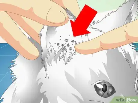 Image intitulée Check Cats for Ear Mites Step 4