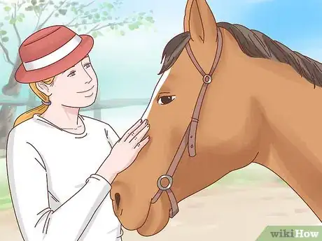 Image intitulée Take Care of Your Horse Step 17
