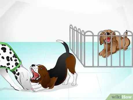 Image intitulée Care for a Sick Dog Step 14