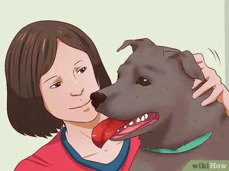 Image intitulée Calm a Dog Step 5