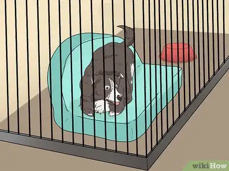 Image intitulée Introduce a New Dog to Your House and Other Dogs Step 17