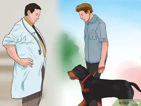 Image intitulée Be a Good Dog Owner Step 1