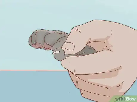 Image intitulée Trim Your Cat's Nails Step 15