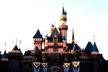 Image intitulée The Disneyland Castle