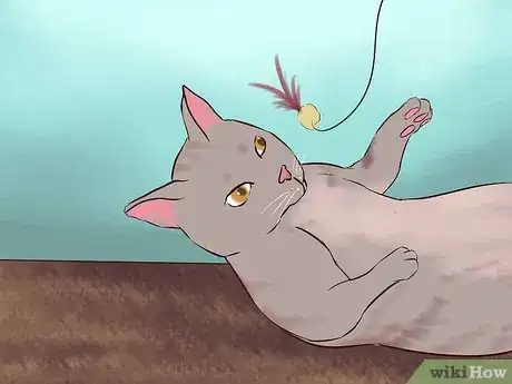 Image intitulée Get Your Cat to Know and Love You Step 12